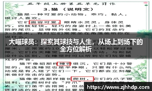 大喵球员：探索其球技与人生，从场上到场下的全方位解析